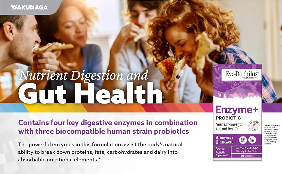 Kyolic Kyo-Dophilus Enzymes+ Probiotic Nutrient Digestion and Gut Health* 60 Capsules - Kyo-Dophilus, enzyme probiotic, digestion gut health