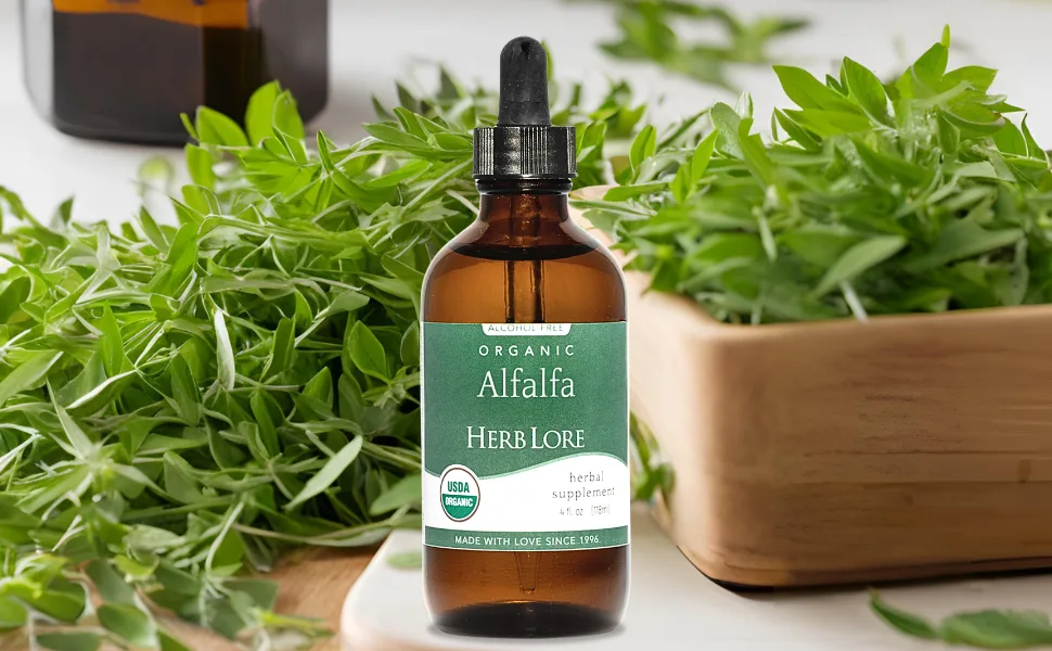 Herb Lore Organic Alfalfa Leaf Tincture Alcohol Free Liquid Herbal Support Supplement Drops for Pregnancy Lactation & Overall Wellness (2 fl oz) 2 Fl Oz (Pack of 1) - Organic Alfalfa Tincture