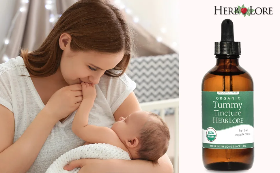 Herb Lore Tummy Tincture USDA Organic Herbal Digestive System Support Alcohol-Free Kid Safe Drops for Occasional Gas Bloating Colic & Upset Stomach - 4 Fl Oz - Herb Lore Tymmy Tincture - Natural Tummy Soother
