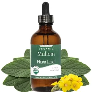Herb Lore Mullein Tincture - Organic Mullein Drops for Lungs - Alcohol Free - 2 fl oz 2 Fl Oz (Pack of 1) - Herb Lore Organic Mullein Leaf Tincture