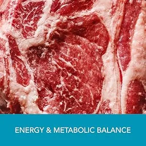 Xtravit Trace Minerals Enhanced Supplement Multi Mineral Complex for Men & Women with Zinc Selenium Boron Chromium & Iodine - May Support Energy Hydration & Immunity - Non-GMO 30 Capsules - Energy &amp; Metabolic Balance
