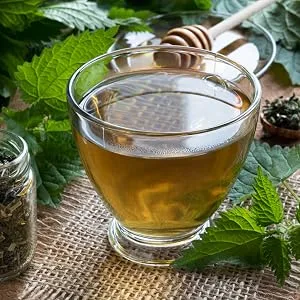 Frontier Co-op Stinging Nettle Leaf Cut and Sifted - for Teas Soups Smoothies and Stir Fry - Kosher | 8 Ounce (Pack of 1) - TOP QUALITY STINGING NETTLE LEAF