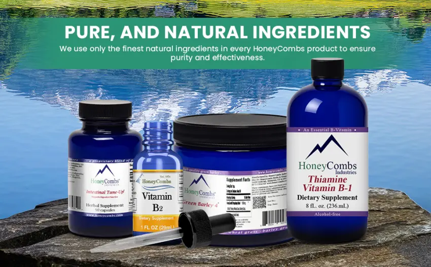 HoneyCombs Formula N Liquid Nerve Support Supplement Chamomile Ginseng & Valerian Herbal Supplement Blend Nerve Function & Nerve Health Supplement 8 Fl Oz 8 Fl Oz (Pack of 1) - riboflavin capsules vitamine way tablets forest leaf easy niacin women niacinamida mujeres organica