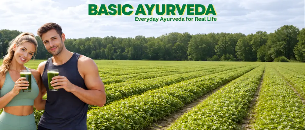 BASIC AYURVEDA Turmeric Curcuma Supplement - 460MG+ | Natural Herbal Capsules for Joint Support Skin Health & Daily Vitality | Extra Strength Formula | 40 Capsules - Basic Ayurveda