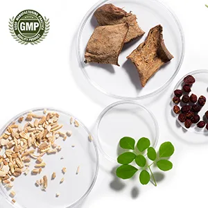 LifeSeasons Essentials Lion's Mane Mushroom - Support Healthy Brain Function & Emotional Balance - Stimulate Nerve & Brain Cell Growth - Mood Enhancer - 1000mg per Serving - 60 Capsules - all natural ingredients sourced for plants to produce powerful nootropics helping sleep and stress