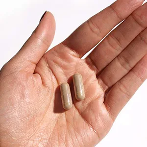 LifeSeasons Essentials Lion's Mane Mushroom - Support Healthy Brain Function & Emotional Balance - Stimulate Nerve & Brain Cell Growth - Mood Enhancer - 1000mg per Serving - 60 Capsules - effective dose