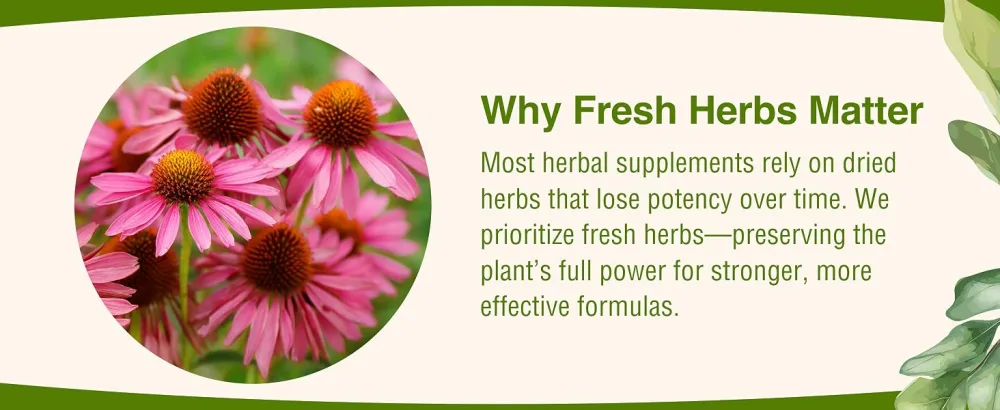 Herbs Etc. Deep Sleep Softgels - Herbal Sleep Support Supplement - Rest & Calming Support with Passionflower Chamomile & Lemon Balm - 120 Softgels (120 Servings) - 2 Pack 120 Count (Pack of 2) - product information 19