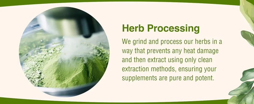 Herbs Etc. Ultimate Ginseng Softgels - Support Continuous Physical Activity - Aids Brain Health - Supports Daily Stamina for Physical & Intellectual Activity - Gluten-Free - 30 Softgels (30 Servings) - product information 20