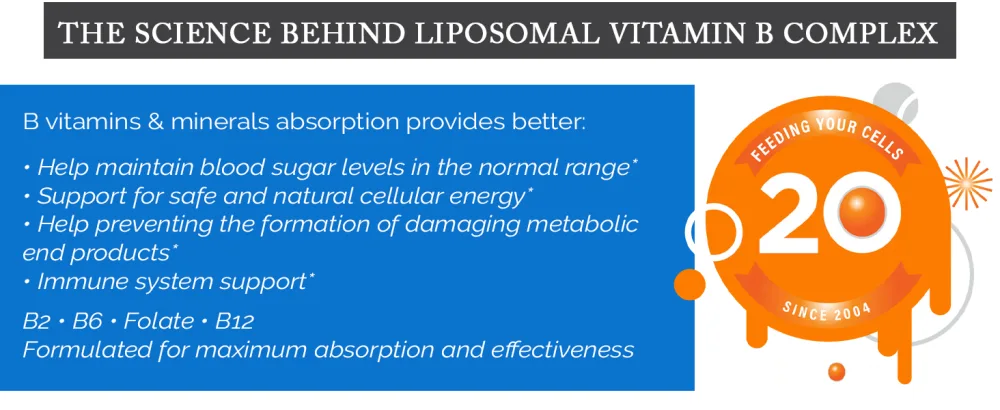 LivOn Laboratories Lypo-Spheric B Complex Plus 190 mg B Vitamins Minerals & Cinnamon Per Packet Liposome Encapsulated for Maximum Bioavailability Non-GMO Essential Phospholipids (1 Box) 30 Count (1 Pack) - Livon Labs
