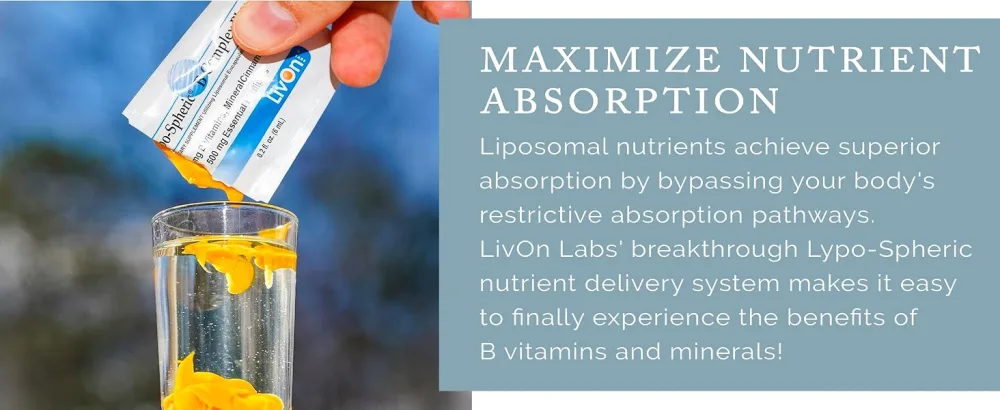 LivOn Laboratories Lypo-Spheric B Complex Plus 190 mg B Vitamins Minerals & Cinnamon Per Packet Liposome Encapsulated for Maximum Bioavailability Non-GMO Essential Phospholipids (1 Box) 30 Count (1 Pack) - Livon Quality
