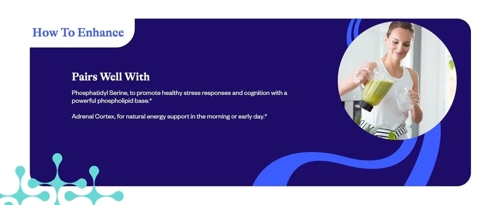 Seeking Health Stress Nutrients Formerly Adrenal Nutrients Adrenal Support Supplement Healthy Cortisol Regulation and Normal Stress Response Support (90 Capsules)* - product information 21