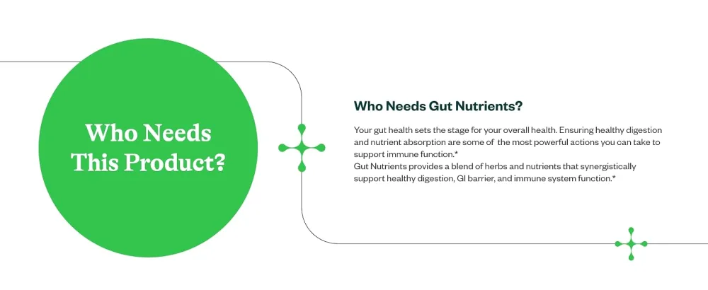 Seeking Health Gut Nutrients Digestive and Gastrointestinal Support Glutamine-Free Supplement Vegan and Vegetarian (150 Capsules)* - product information 16