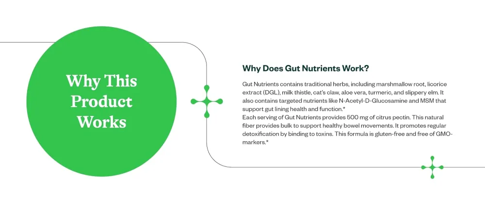 Seeking Health Gut Nutrients Digestive and Gastrointestinal Support Glutamine-Free Supplement Vegan and Vegetarian (150 Capsules)* - product information 18
