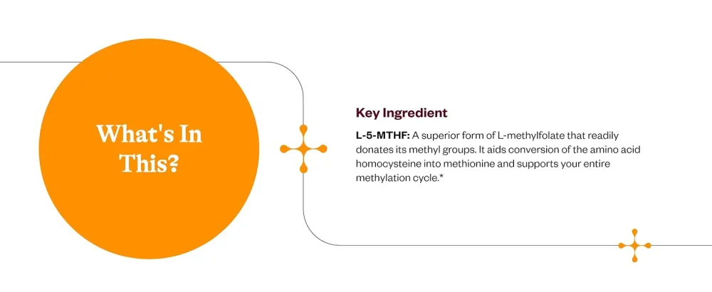 Seeking Health L-Methylfolate 1mg Supports Healthy MTHFR Mood and methylation- 60 Capsules - product information 17