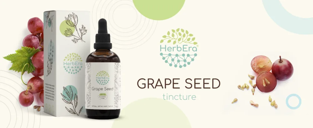 Grape Seed B120 Alcohol-Free Herbal Extract Tincture Concentrated Liquid Drops Natural Grape (Vitis Vinifera) Dried Seed (4 Fl Oz) 4 Fl Oz (Pack of 1) - Grape Seed