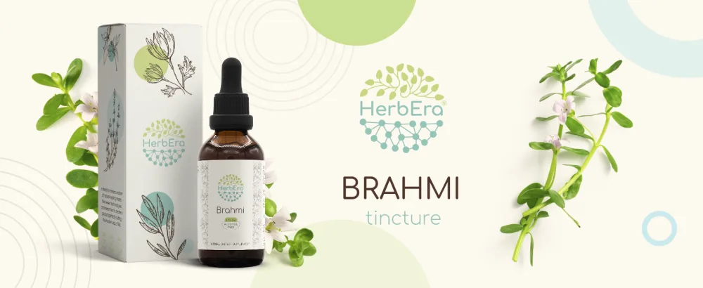 HerbEra Brahmi B60 Alcohol-Free Herbal Extract Tincture Concentrated Liquid Drops Natural Brahmi (Bacopa Monnieri) 2 fl oz 2 Fl Oz (Pack of 1) - Brahmi