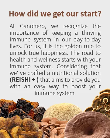 GANOHERB Beet Root Capsules with Grape Seed Extract Beetroot Supplement 4 in 1 with Reishi Mushroom Black Pepper to Support Circulation 90 Rapid Release Capsules - reishi mushroom
