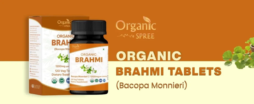 Brahmi 120 Tablets USDA Organic Bacopa Monnieri Supplement Supports Focus Calm & Memory* Herbal Nootropic* 120 Count (Pack of 1) - Brahmi Tablets