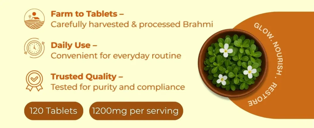 Brahmi 120 Tablets USDA Organic Bacopa Monnieri Supplement Supports Focus Calm & Memory* Herbal Nootropic* 120 Count (Pack of 1) - Brahmi Tablets