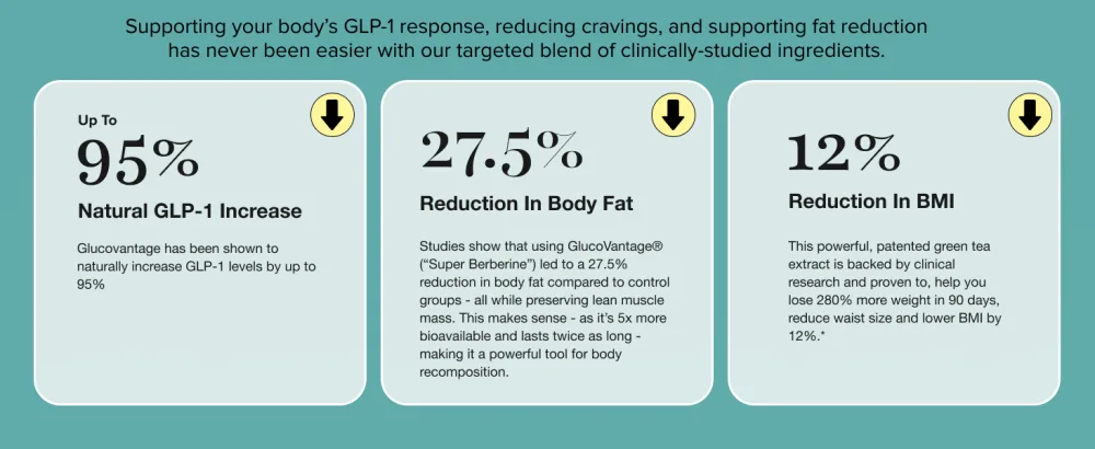 BURN30 GLP-1 Supplement - Super Berberine Weight Management Support GLP1 Naturally | Advanced Appetite Control & Metabolism Support with Clinically Studied Ingredients  | Stimulant Free - Burn30