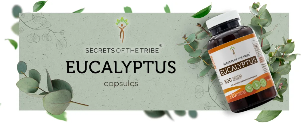 Secrets of the Tribe Eucalyptus 120 Capsules 800 mg Eucalyptus (Eucalyptus Globulus) Dried Leaf (120 Capsules) 120 Count (Pack of 1) - Eucalyptus