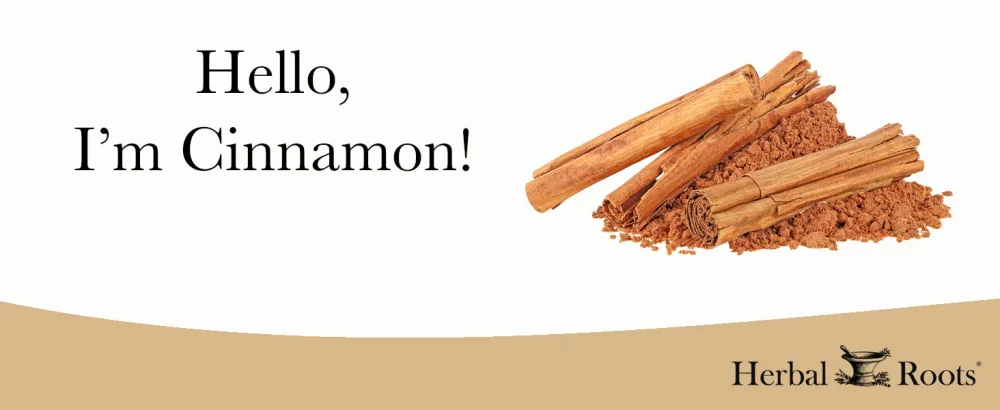 Herbal Roots Organic Ceylon Cinnamon Capsules | USDA Certified Organic - Non-GMO | 60 Organic Vegan Capsules - Hello, I'm Cinnamon!