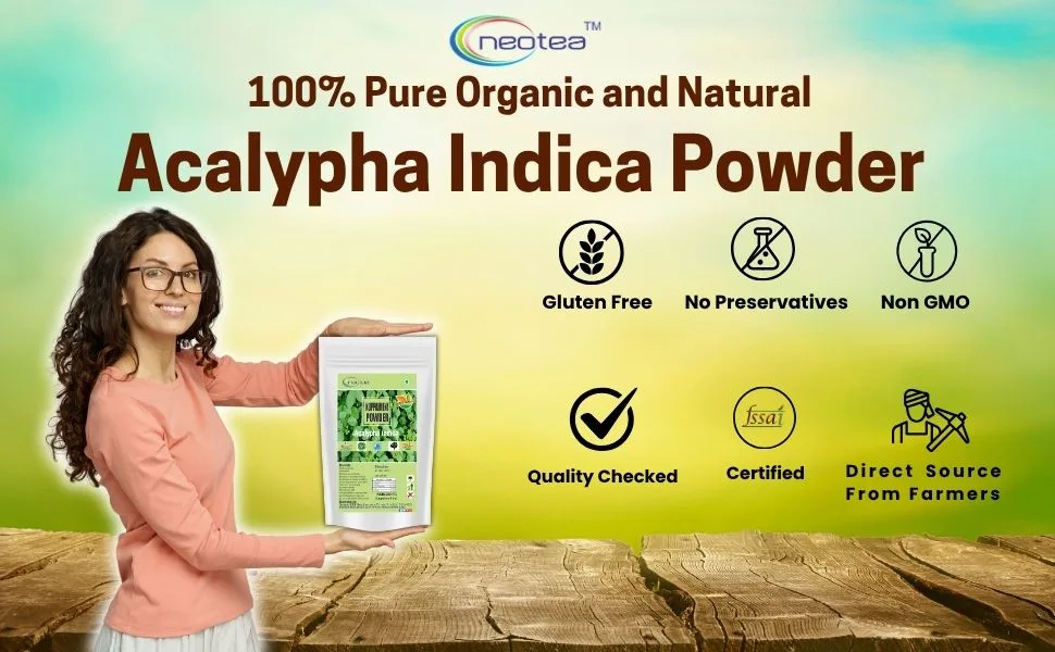 neotea Acalypha Indica Powder | Indian Acalypha | Indian Mercury | Indian Copperleaf | Indian Nettle | Three-seeded Mercury | Kuppaimeni - 300 Grams - Indain Acalypha