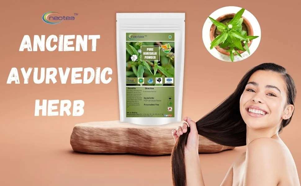 neotea Eclipta Prostrata | Karisalai | Karisalankanni | Bhringraj powder | False Daisy Powder - 500g/1.1lbs Pack of 1 - Bhringraj Powder