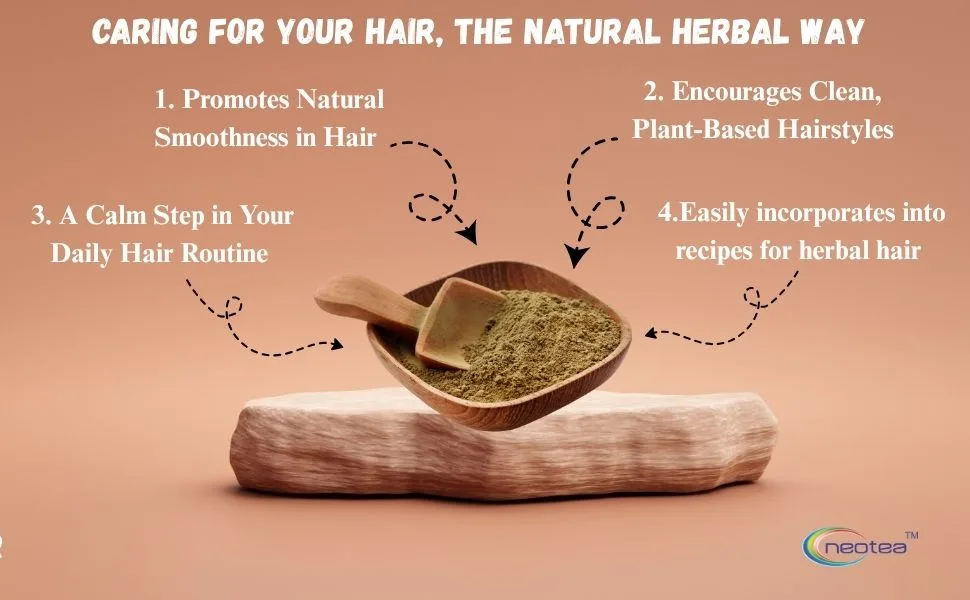 neotea Eclipta Prostrata | Karisalai | Karisalankanni | Bhringraj powder | False Daisy Powder - 500g/1.1lbs Pack of 1 - Bhringraj Powder