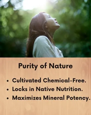 neotea Ashwagandha Root 250gm Pack of 1 - herbal powder