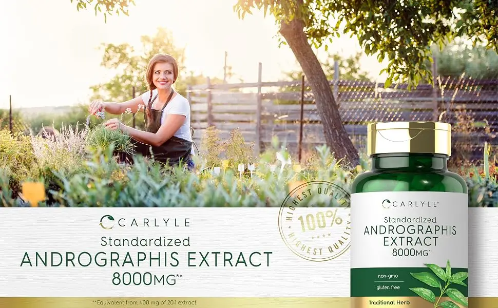 Carlyle Andrographis Paniculata Capsules | 8000 mg | 120 Capsules | Non-GMO & Gluten Free Supplement - product information 1