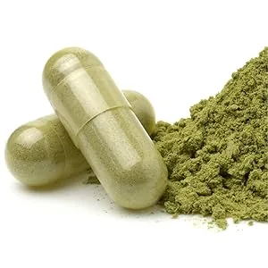 Carlyle Andrographis Paniculata Capsules | 8000 mg | 120 Capsules | Non-GMO & Gluten Free Supplement - product information 3