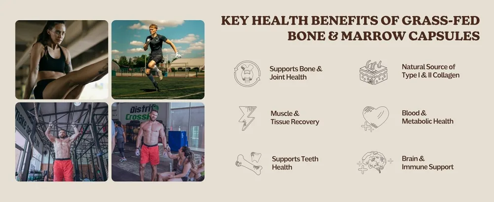 MK Supplements Grass-Fed Beef Bone & Marrow Supplement Supports Healthy Joints Bones Teeth Immune Support Freeze-Dried Non-GMO 45 Servings (3 000 mg Each) Bone & Marrow 45 Servings - ancestral bone marrow capsules for daily wellness