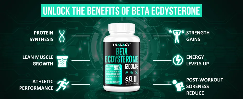 1200MG Beta Ecdysterone Supplement 98% Maximum Purity Ecdysterone Supplements for Lean Muscle Mass Athletic Performance & Strength 120 Capsules 60 Count (Pack of 2) - beta ecdysterone