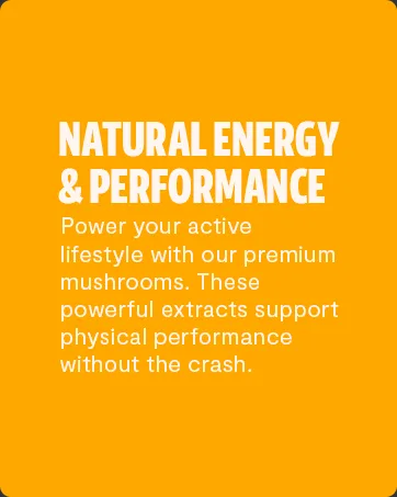 FreshCap Adaptogen Bundle (Reishi Capsules and Cordyceps Capsules) - product information 13