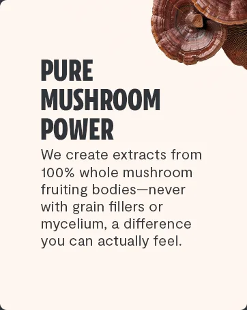 FreshCap Adaptogen Bundle (Reishi Capsules and Cordyceps Capsules) - product information 2