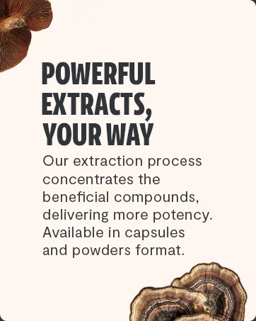 FreshCap Adaptogen Bundle (Reishi Capsules and Cordyceps Capsules) - product information 3