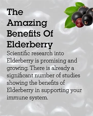 Quantum Health Immune Support Elderberry Echinacea Goldenseal Liquid Extract - Daily Wellness Herbal Immunity Formula for Women & Men - High Dose Fast Absorption Tincture - 2 Fl Oz - Elderberry capsules drops tincture lozenges