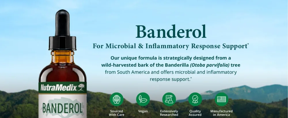 NutraMedix Daily Immune Support Supplement - Banderol Herbal Supplements for Immune System Support - Vegan Tincture - Bioavailable Otoba Bark Extract Liquid Drops (1 oz/30 ml) 1 Fl Oz (Pack of 1) - BANDEROL