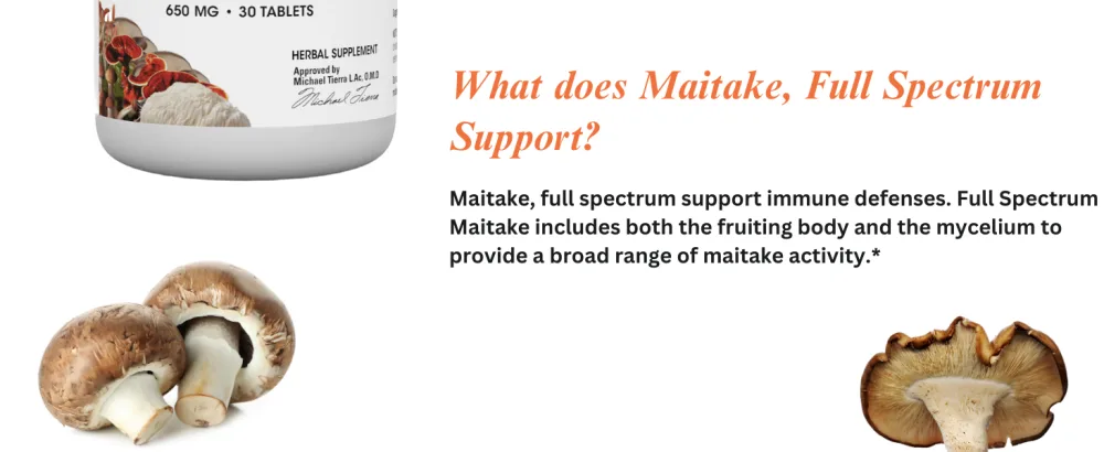 Full Spectrum Maitake Mushroom 650mg - 30 Tablets - Maitake, Full Spectrum Desktop