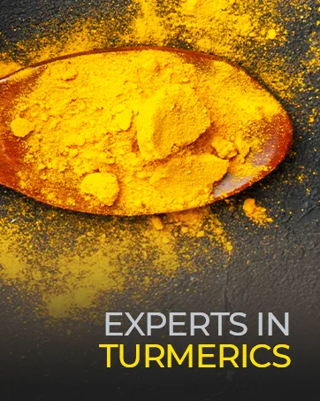 Quercetin with Bromelain & Turmeric Curcumin & Complete Multivitamin for Men - experts in turmerics, vimerson health, immune support, energy