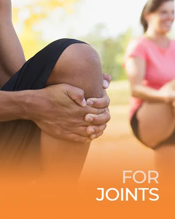 Quercetin with Bromelain & Turmeric Curcumin & Complete Multivitamin for Women - joints support, vimerson health, immune support, energy