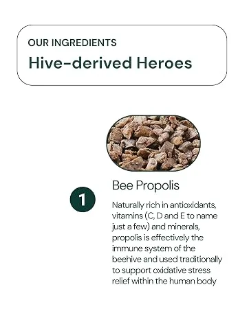 Herstat L-Lysine & Propolis | Advanced Lip Health & Immune Support | High Strength Formula with Quercetin Vitamin C Vitamin E & Zinc - bee propolis