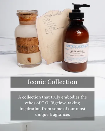 C.O. Bigelow Iconic Collection Amber Hand Wash Scented Hand Soap with Aloe Vera and Shea Butter 10.5 fl oz - Iconic Collection
