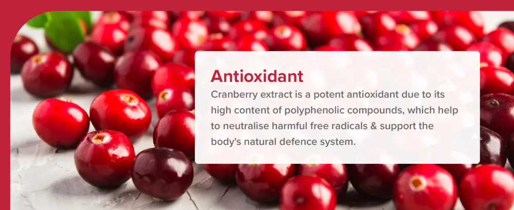 pureclinica Double Strength Cranberry Extract 10 000mg x 180 Ultra Concentrated Tablets - 6 Months Supply 180 Count (Pack of 1) - CRAN3
