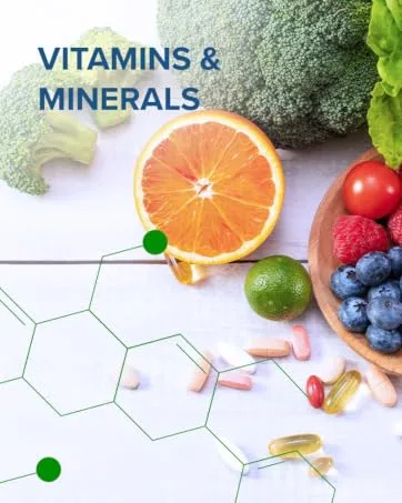 Nutra Biogenesis Gastric Support Complex - DGL Licorice Supplement Deglycyrrhizinated Licorice Root Extract for Maximum Absorption Digestion Support with Mastic Gum Aloe & Bismuth - 60 Capsules - revive repair leaky capsules anti alcohol craving stomach assist designs resolve complete