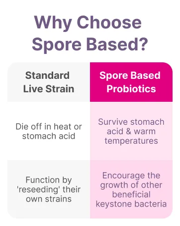 Microbiome Labs Pregnancy Support - Prenatal & Postpartum Probiotics for Women - Probiotic Supplements to Support Gut Health & A Balanced Vaginal Microbiome Through Breastfeeding (30 Capsules) - spore based probiotics ' soil based probiotics '