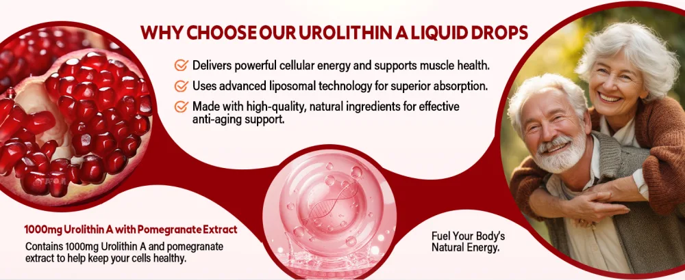 Liposomal Urolithin A Liquid Drops Urolithin A Supplement with Pomegranate Extract for Healthy Aging Antioxidant & Mitochondrial Support Non-GMO 2 Fl Oz - rewind urolithin a