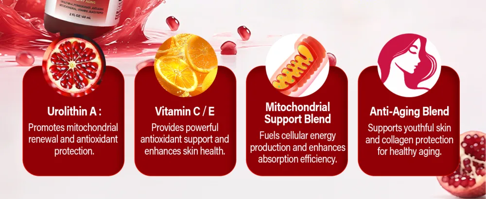 Liposomal Urolithin A Liquid Drops Urolithin A Supplement with Pomegranate Extract for Healthy Aging Antioxidant & Mitochondrial Support Non-GMO 2 Fl Oz - urolithin a