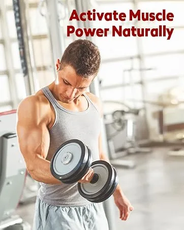 Liposomal Urolithin A Liquid Drops Urolithin A Supplement with Pomegranate Extract for Healthy Aging Antioxidant & Mitochondrial Support Non-GMO 2 Fl Oz - urolithin a 1000mg